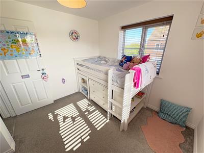 Picture 15